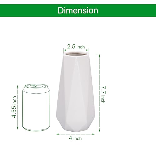 D'vine Dev 8 Inch Snow White Ceramic Vase, Geometric Handmade Craft Flower Vase with Design Box Packaged, VS-GM-SW-8 - color: Snow White, size: 8 Inch
