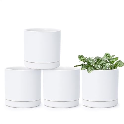 D'vine Dev Set of 4 Small Ceramic Plant Pots, 3.5 Inch Succulent Planter Pot for Plants with Drainage Hole and Saucer, White, 94-X-A-1 - color: White, size: 3.5 Inch