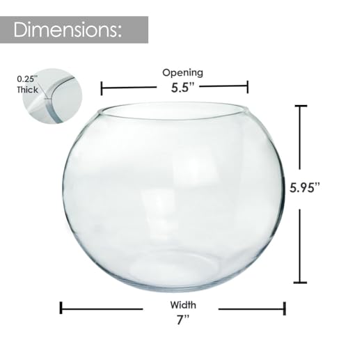 Craft And Party, Glass Bubble, 6" Height x 8" Width Glass Fish Bowl Vase, Bubble Bowl vase for Terrarium, Flower vase Centerpiece - size: Bubble Bowl : 5.8"H x 8"W
