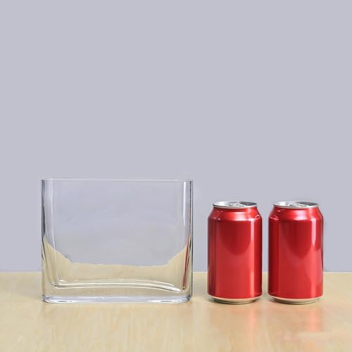 CYS EXCEL Glass Book Vase (H:6" Open:7"x2") Round Edge Oval Flower Vase Rectangular Wedding Centerpiece - size: H-6" Open-7"x2"