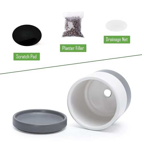 D'vine Dev Set of 4 Small Ceramic Plant Pots, 3.5 Inch Succulent Planter Pot for Plants with Drainage Hole and Saucer, White/Speckled Grey, 94-X-A-6 - color: White/Speckled Grey, size: 3.5 Inch