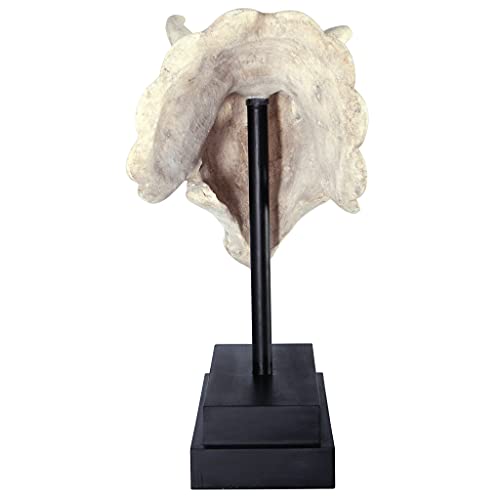 Design Toscano NE867039 Triceratops Dinosaur Skull Fossil Statue on Museum Mount,Multicolored - style: Triceratops Dinosaur Skull