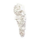 Design Toscano Bacchus, Grape Harvest Wine Greek Greenman Face Wall Sculpture, Medium, 12 inches tall, Cast Stone Resin, Antique Stone Finish - size: Medium, 12 Inch