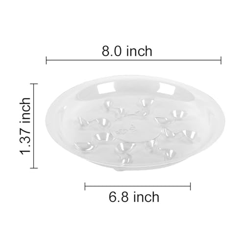 6 Pack Heavy Duty Clear Plastic Plant Saucer Sturdy Pot Tray Plant Drip Trays Drip Trays for pots,Plant Water Catcher Tray,Plant Pot Saucers (8 INCH) - size: 8 INCH