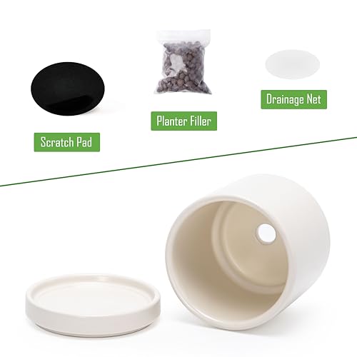 D'vine Dev Set of 2 Plants Pots, 3.5 Inch Ceramic Planter Pot for Plants with Drainage Hole and Saucer, Oatmeal, 94-V-A-8 - color: Oatmeal, size: 3.5 Inch