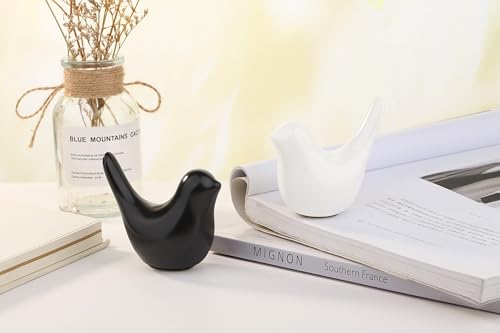 Small Birds Figurine Black and White Home Decor Modern Style Bird Statues Decorative Ornaments for Living Room, Bedroom, Office Desktop, Cabinets, Knick Knacks(Black White Birds 2Pcs) - color: Black and White