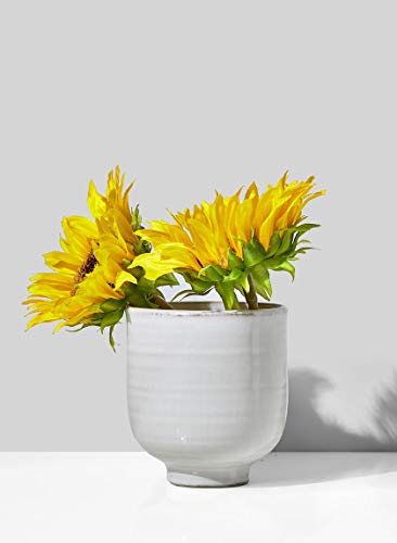 Serene Spaces Living Small Glazed Ceramic Pedestal Bowl, Set of 2- Centerpiece for Vintage Weddings, Events, Measures 4.25" Tall and 4" Diameter - color: 4" Pedestal Bowl, 2 Pcs