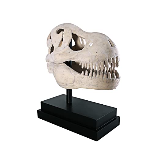 Design Toscano T-Rex Dinosaur Skull Fossil Statue on Museum Mount - style: T-Rex Dinosaur Skull