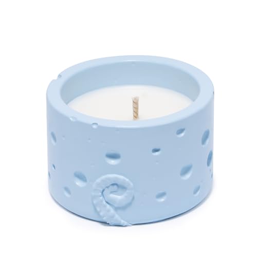 Hodao Oceanic Serenity Handcrafted Aromatherapy Box with Candle & Decor – Beach Rock Sculpture with Sea Turtle, Seashells, for Home, Bathroom, Yoga Room Decor (Blue-Seahorse) - color: Blue-seahorse