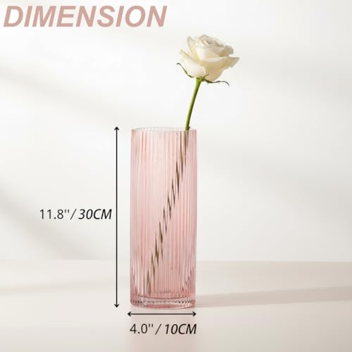 Pink Glass Vase, Glass Flower Vases, Ribbed Vase, Pink Vase, Tall Cylinder Glass Vases for Living Room, Bedroom, Dining Table, Office, Wedding, Bookshelf Decoration, 12 Inches - color: Pink, size: 12''