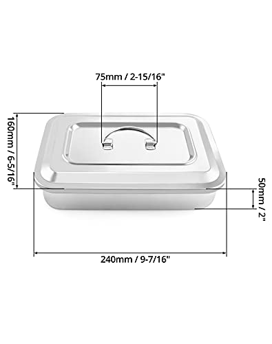 QWORK 201 Stainless Steel Instrument Tray Organizer Holder with Lid and Handle Grip for Lab Science Instruments, 9.5" x 6.3" x 2"
