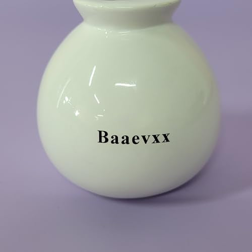 Baaevxx Flower Vases – Minimalist Design, Ideal for Home or Office Decoration