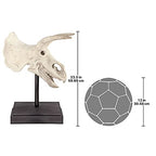 Design Toscano NE867039 Triceratops Dinosaur Skull Fossil Statue on Museum Mount,Multicolored - style: Triceratops Dinosaur Skull