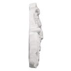 Design Toscano Remoulage Lion Sculptural Wall Pediment