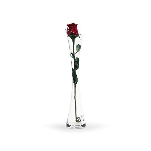 WGV Maria Bud Vase, Width 3", Height 15.75", Clear Tall Slant Cut Opening Gathering Concaved Glass Floral Container Centerpiece for Wedding Party Event Home Office Decor, 1 Piece - size: 3"x16"H Maria