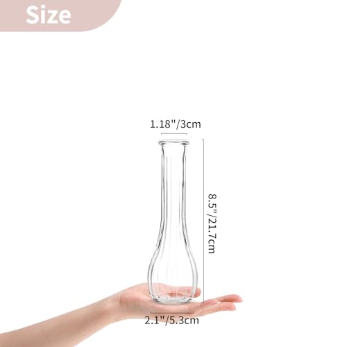 NUPTIO Glass Bud Vases Centerpiece: 3 Pcs Small Flower Vase for Wedding in Bulk - Cute Clear Ribbed Vase for Party Events Home Table Decor