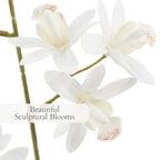 CG Hunter Faux Vanda Orchid Plant, Premium Artificial Indoor Flower Display Stands 26”, Beautiful Sculptural Blooms that Lasts Forever, White Planter Pot Included - size: 26" Vanda Orchid