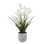 CG Hunter Faux Vanda Orchid Plant, Premium Artificial Indoor Flower Display Stands 26”, Beautiful Sculptural Blooms that Lasts Forever, White Planter Pot Included - size: 26" Vanda Orchid
