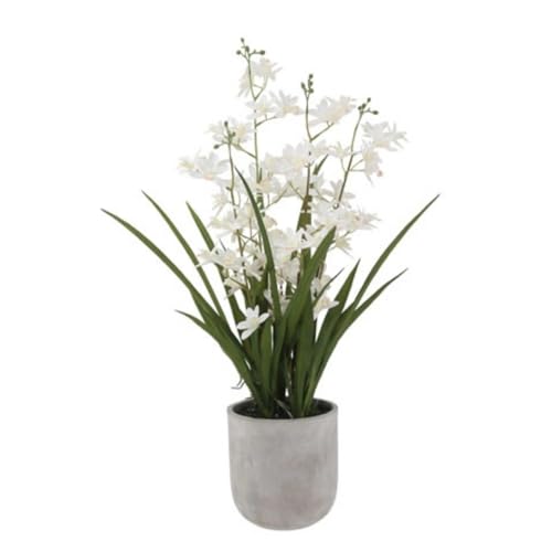 CG Hunter Faux Vanda Orchid Plant, Premium Artificial Indoor Flower Display Stands 26”, Beautiful Sculptural Blooms that Lasts Forever, White Planter Pot Included - size: 26" Vanda Orchid