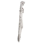 Design Toscano Musical Muse Wall Sculpture, Single - style: Single