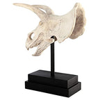 Design Toscano NE867039 Triceratops Dinosaur Skull Fossil Statue on Museum Mount,Multicolored - style: Triceratops Dinosaur Skull