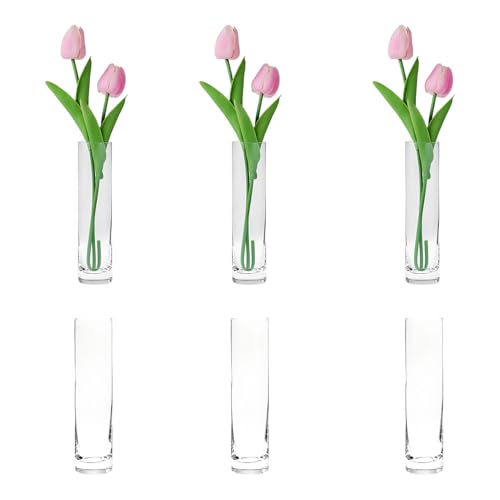 Clear Glass Cylinder Bud Vases,Small Clear Skinny Single Flower Vase for Centerpieces - Minimalist Bulk Vases for Wedding Birthday Bridal Shower Party Events Table Decor (6)