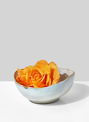 Serene Spaces Living Large Free-Form Edge Glazed Ceramic Bowl, Centerpiece for Vintage Weddings, Events, Measures 6" Long, 5.5" Wide, 2.75" Tall, Pack of 4 - color: 6" Bowl, 4 Pcs