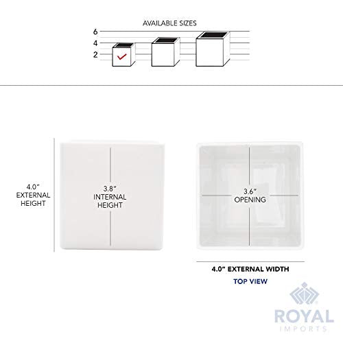 Royal Imports Flower Acrylic Vases Cubes - Decorative Centerpiece for Home or Wedding - Non Breakable Plastic, 4" - White - size: 4"x4"