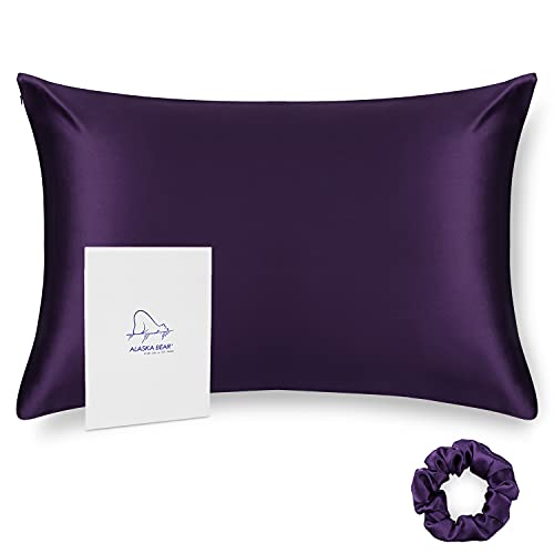 ALASKA BEAR Natural Silk Pillowcase, 100 Percent Mulberry Silk, Queen Size (1 Pack, Dark Purple) - color: Purple, size: Queen 20''x30''