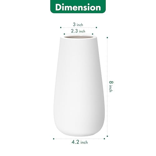 D'vine Dev 8 Inch Ivory Elegant Oval Ceramic Vase for Flowers, Home Décor Vase with Design Box, VS-LD-A-2 - color: Ivory, size: 8 Inch