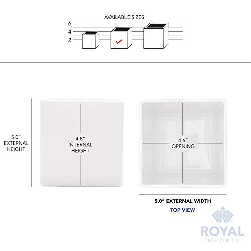 Royal Imports Flower Acrylic Vases Cubes - Decorative Centerpiece for Home or Wedding - Non Breakable Plastic, 5" - White - size: 5"x5"