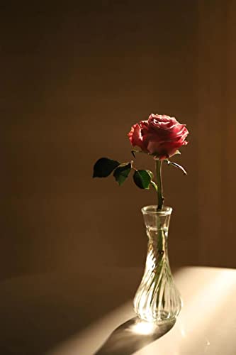 Set of 24 Glass Vase, Bud Vases in Bulk with Lace for Floral Arrangements, Events, Home Decor Weddings, Table Centerpiece (Clear, 24)