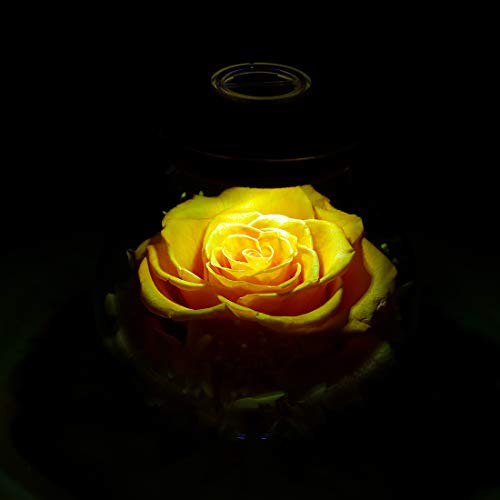 Preserved Real Roses with Colorful Mood Light Wishing Bottle,Eternal Rose，Never Withered Flowers, a Gifts for Women 4.3inch 1pcs (Yellow) - color: Yellow
