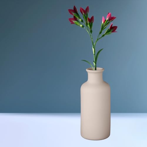 Ceramic Small Vase, Dry Flower Vases Minimalism Style for Modern Table Shelf Fit Fireplace Bedroom Kitchen Living Room Home Decor (White, Large) - color: White, size: Large