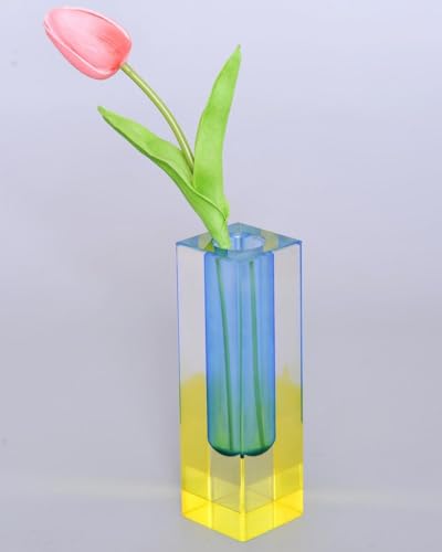 Acrylic Vase, Bud Vase for Centerpieces, Maximalist Decor Cute Flowers Vases for Modern Home, Office, Bedroom, Living Room, Dining Table (Blue, Yellow) - color: Blue, Yellow