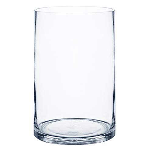 Royal Imports Flower Glass Vase Decorative Centerpiece for Home or Wedding - Cylinder Shape (5" Wide x 7" Tall, Clear) - size: 5" wide x 7" tall