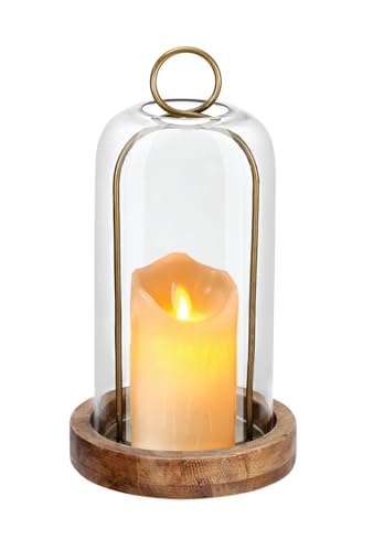 12" High Versatile Vintage Brass Metal Candle Holder with Handmade Sturdy Glass Dome and Natural Wooden Base for Pillar Candle & Plants, Industrial, Farmhouse, Shabby Chic, Display Cloche Bell Jars - color: Brass, size: 6"x12"