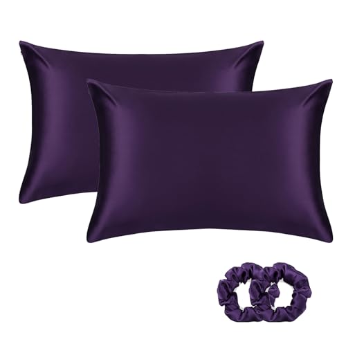 ALASKA BEAR Silk Pillowcase for Hair and Skin, Set of 2 Pure Genuine 22 Momme Mulberry Silk Pillow Cases Standard Size for Bliss Sleep Better Than Poly Satin, Zipper Closure(2pc, Dark Purple) - color: Purple, size: 2 Pack Standard 20''x26''