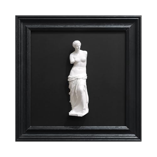 FOLKOR LIFE Framed Black and White Wall Art Sculpture Venus, Greek Roman Mythology Goddess Aphrodite Statue Framed Plaster Relief Wall Decor for Room, Hallway, Entryway, Housewarming, New Home Gift - color: Statue of Venus