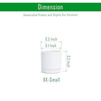D'vine Dev Set of 2 Plants Pots, 3.5 Inch Ceramic Planter Pot for Plants with Drainage Hole and Saucer, White, 94-V-A-1 - color: White, size: 3.5 Inch