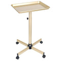 Salon Tray, Champagne Gold Salon Rolling Tray with Adjustable Height, Hair Stylist Tray, Suitable for Tattoo Tray and Dental Tray - color: Champagne Gold