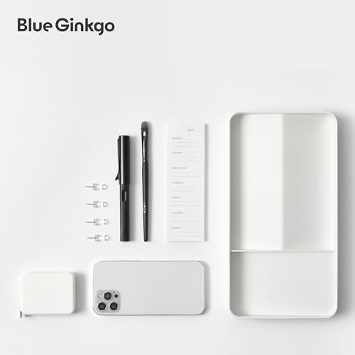 BLUE GINKGO Desk Tray – Korean-Made Organizer for Notes, Pens, Pencils, and Accessories (Double-sided, White) - color: WHITE, size: TRAY