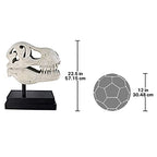 Design Toscano T-Rex Dinosaur Skull Fossil Statue on Museum Mount - style: T-Rex Dinosaur Skull