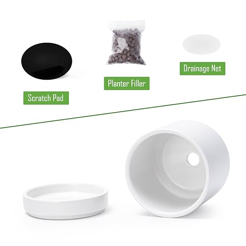 D'vine Dev Set of 2 Plants Pot, 4.7 Inch Ceramic Planter Pot for Plants with Drainage Hole and Saucer, White, 94-V-B-1 - color: White, size: 4.7 Inch