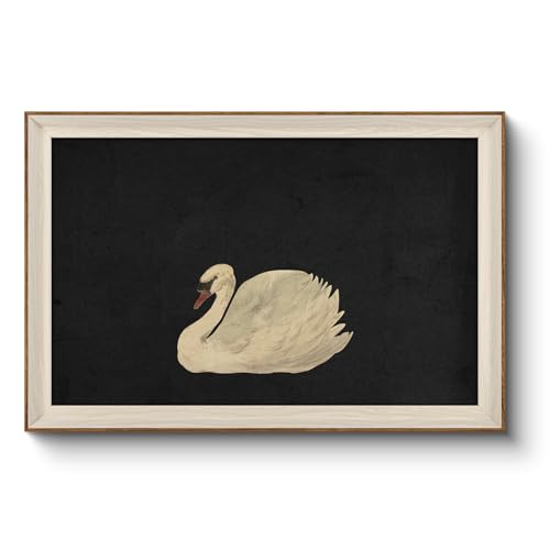 VIYYIEA Framed Wall Art for Living Room, Swan Art Canvas Prints, Vintage Home Decor, Animals Painting Picture, Bathroom Wall Decor Gifts for Friends or Family - 36L x 24W - color: Animal-【Zwaan】, size: 36"L x 24"W