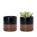 D'vine Dev Set of 2 Plants Pots, 3.5 Inch Ceramic Planter Pot for Plants with Drainage Hole and Saucer, Black/Speckled Tan, 94-V-A-7 - color: Black/Speckled Tan, size: 3.5 Inch