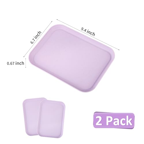 Purple Plastic Serving Platters and Trays,Serving Dishes for Entertaining,Rectangular Platters for Serving Food, Appetizer Serving Trays for Snacks,Charcuterie,Chips,Candy,Fruit,Sushi - color: Tray-s-2pack-purple