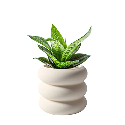 Ceramic Plant Pot Indoor, 4.5 Inch Beige Unglazed Flower Pot with Drainage Hole, Small Bubble Design Ceramic Planter for Home & Office Decor - color: S-beige-unglazed, size: 4.7inch
