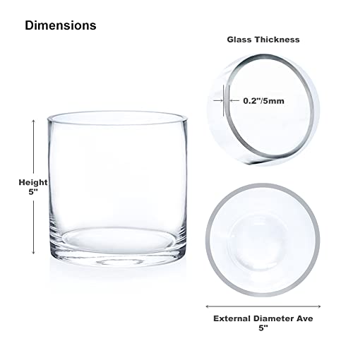 Enova Floral Clear Glass Cylinder Vase 5 x 5 Inches Round Flower Vase, Pillar Candle Hurricane Floating Candle Holder Vase, Small Floral Glass Vase for Decoration Home, Wedding Centerpiece (1 Piece) - size: 5W X 5H