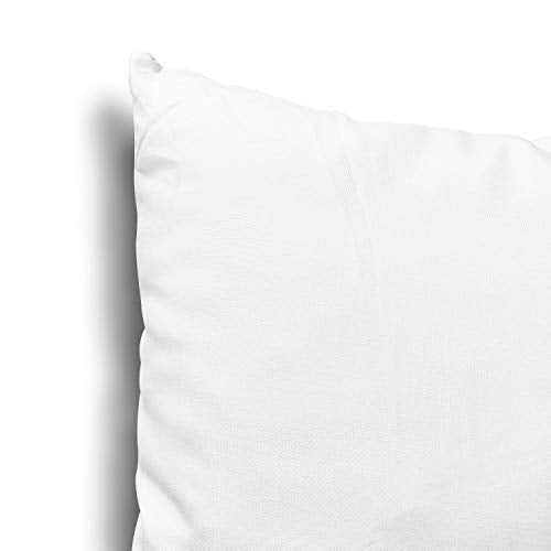 EDOW Throw Pillow Insert, Lightweight Soft Polyester Down Alternative Decorative Pillow, Sham Stuffer, Machine Washable. (White, 18x18)